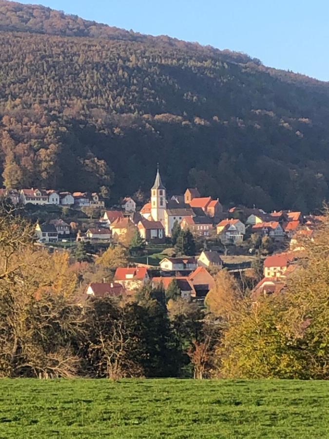 Gite L'Instant Durable Oberbronn Bagian luar foto