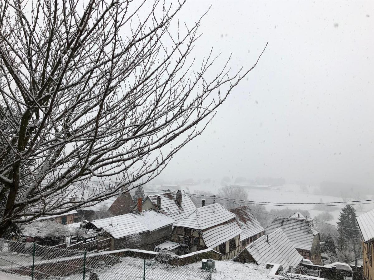 Gite L'Instant Durable Oberbronn Bagian luar foto