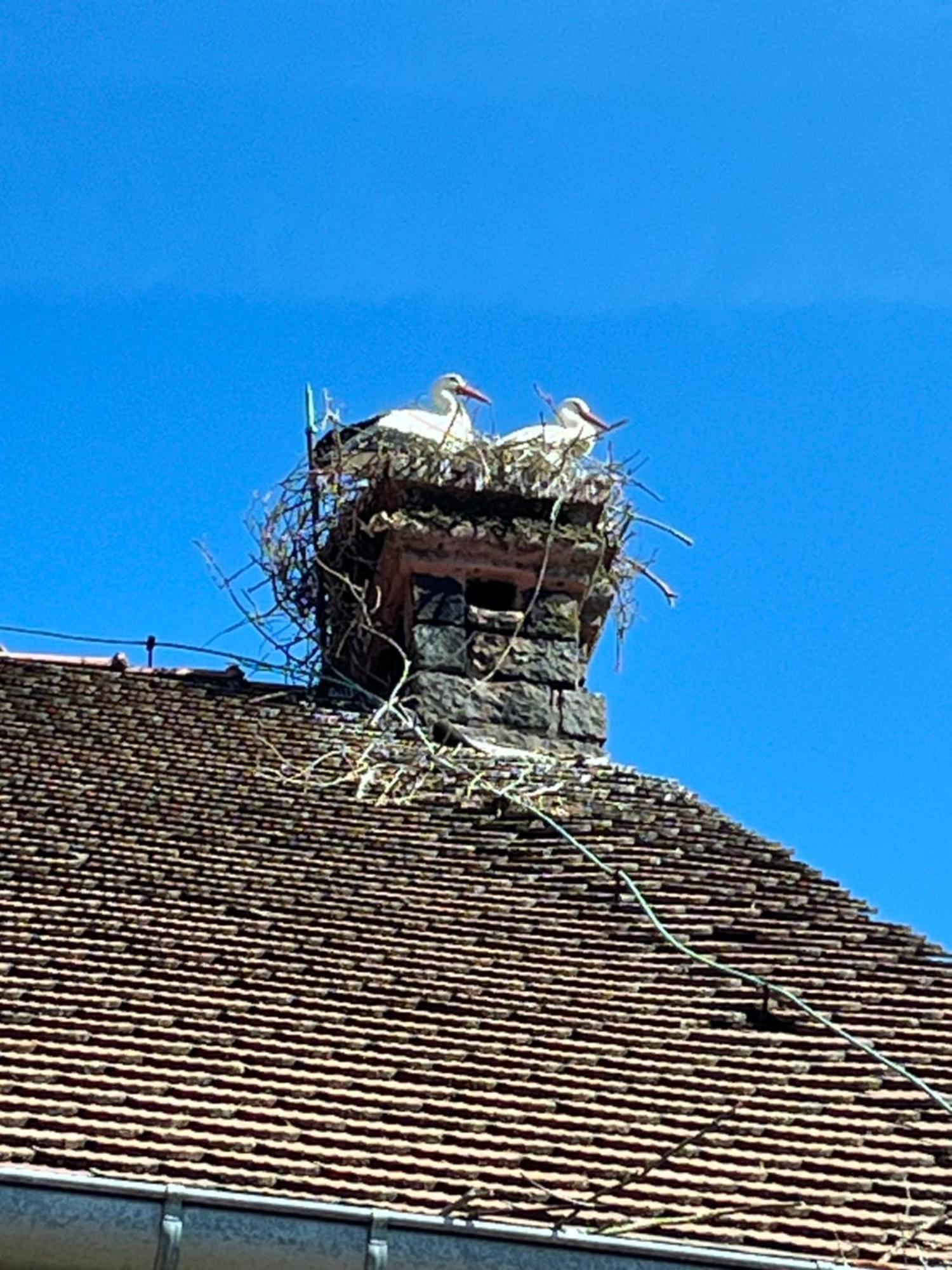 Gite L'Instant Durable Oberbronn Bagian luar foto