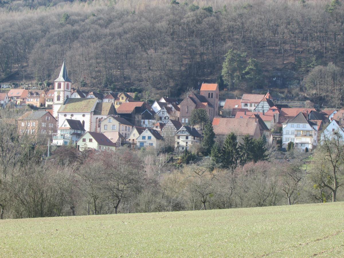 Gite L'Instant Durable Oberbronn Bagian luar foto